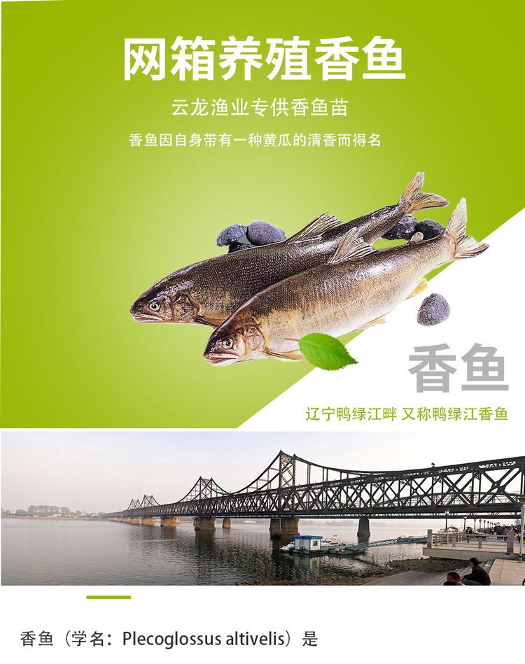 u=2501178707,464197521&fm=199&app=68&f=JPEG.jpg